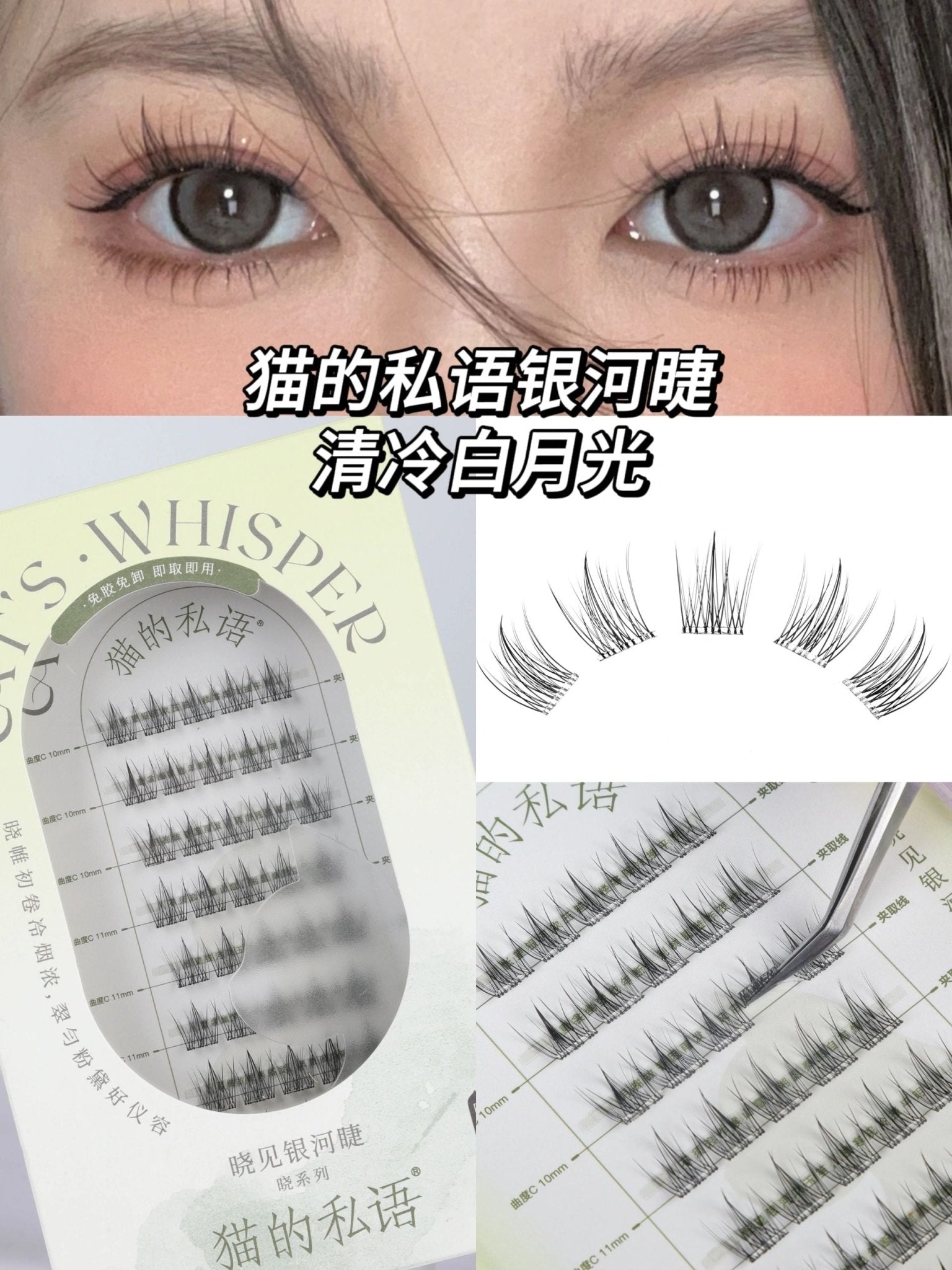 Cat's Whisper Glue - Free False Eyelashes - GOGOTALES假睫毛