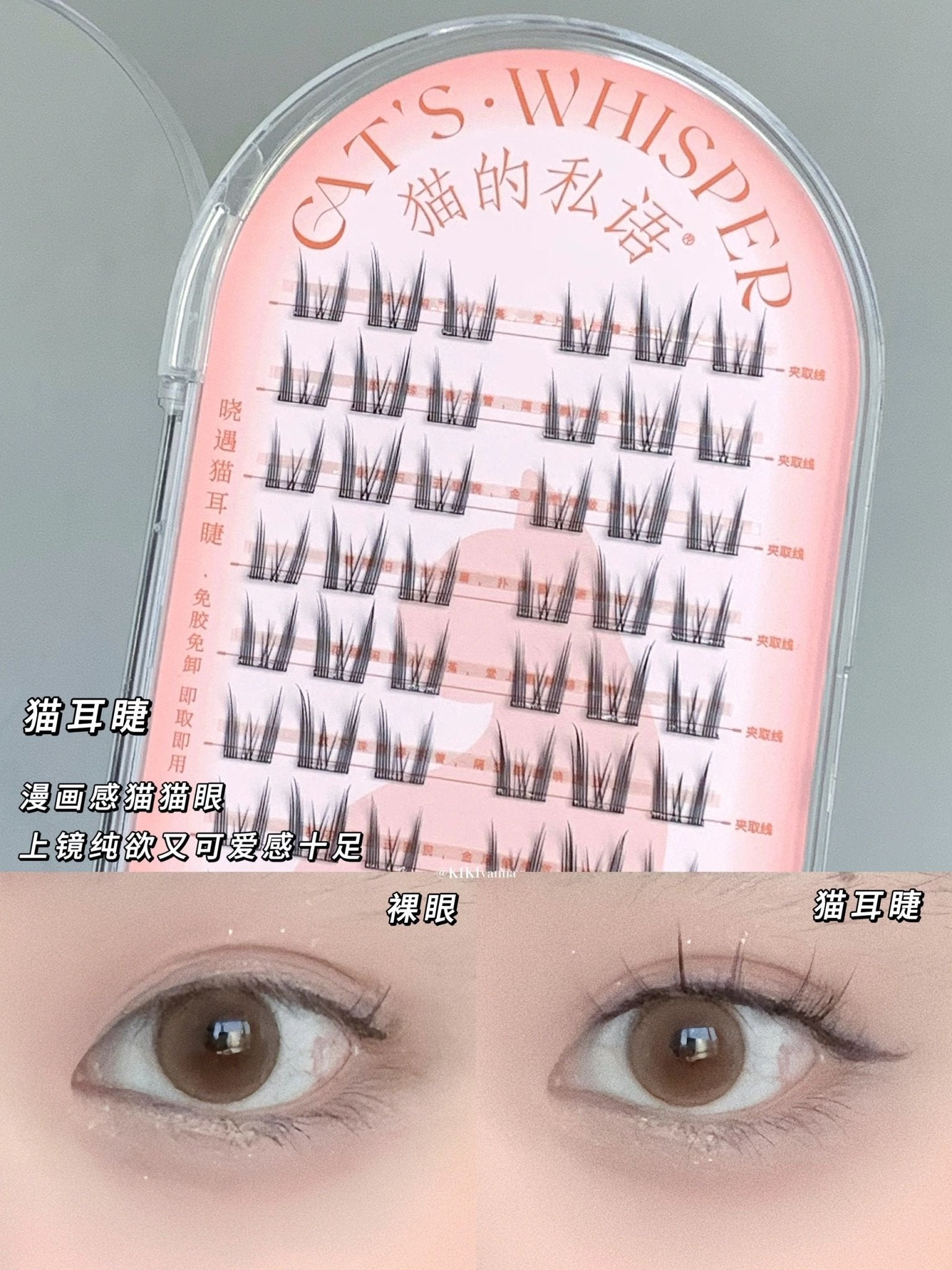 Cat's Whisper Glue - Free False Eyelashes - GOGOTALES假睫毛