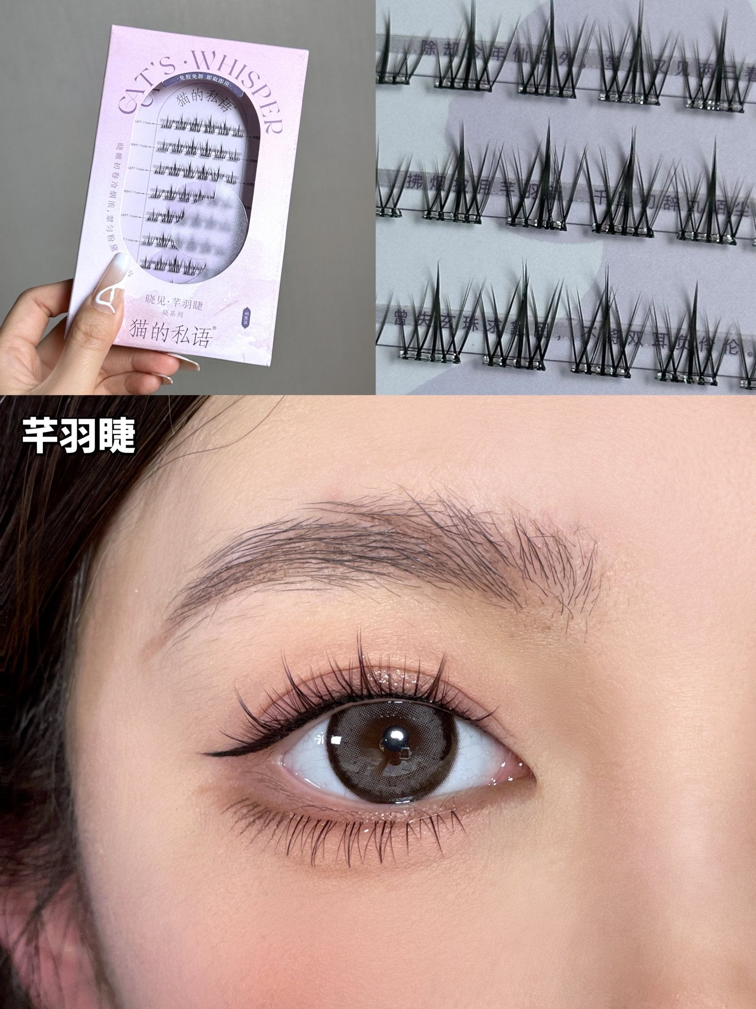 Cat's Whisper Glue - Free False Eyelashes - GOGOTALES假睫毛