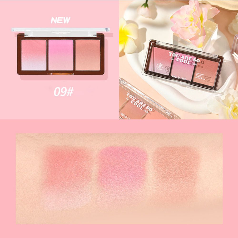 HOLD LIVE 3 - color Eyeshadow & Blush - GOGOTALES眼影