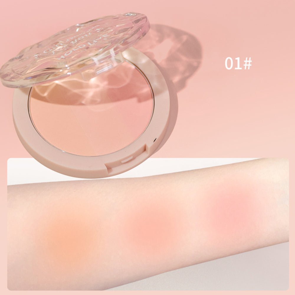 HOLD LIVE Light & Shadow Gradient Blush Plate - GOGOTALES腮红