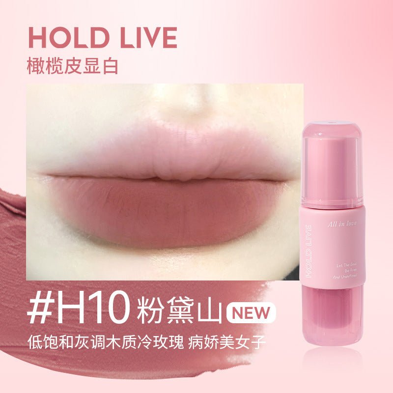 Holdlive Mud Velvet Cloud Feeling Lip Glaze - GOGOTALES唇釉